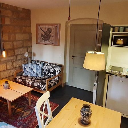 Villa Haniel Apartment Leo Dresden Eksteriør billede
